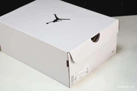 ICE Jordan Retro Low BLUE 1 1119